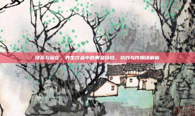 绿茶与菊花，养生饮品中的黄金搭档，功效与作用详解析