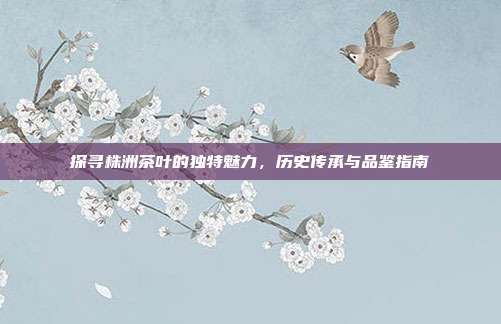 探寻株洲茶叶的独特魅力，历史传承与品鉴指南