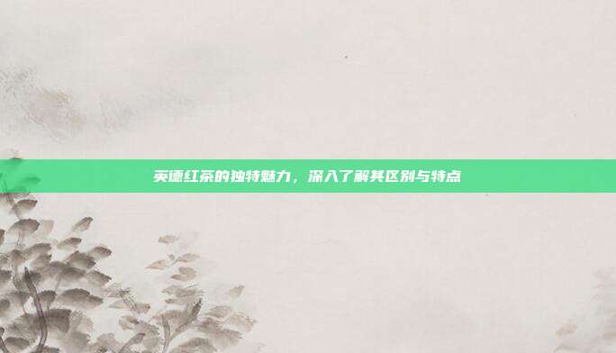 英德红茶的独特魅力，深入了解其区别与特点