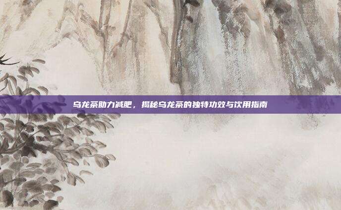 乌龙茶助力减肥，揭秘乌龙茶的独特功效与饮用指南
