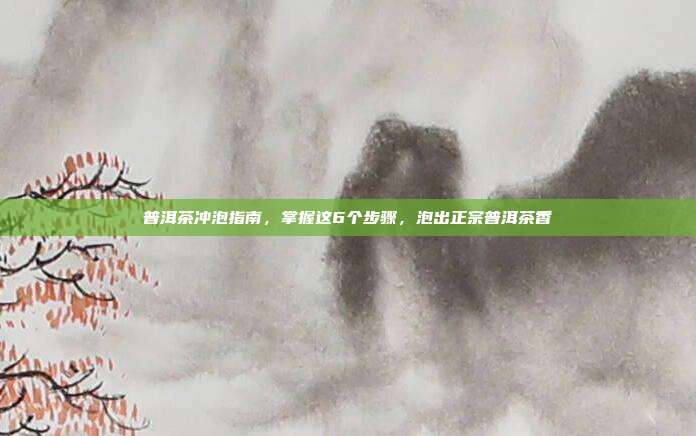 普洱茶冲泡指南，掌握这6个步骤，泡出正宗普洱茶香