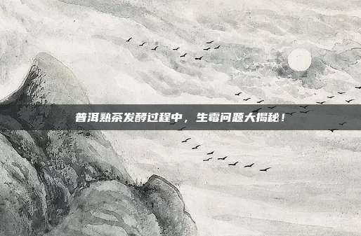 普洱熟茶发酵过程中，生霉问题大揭秘！