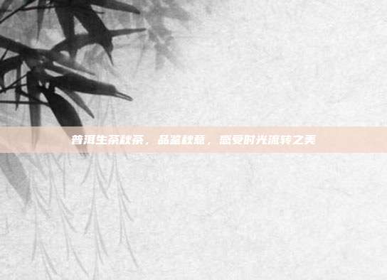 普洱生茶秋茶，品鉴秋意，感受时光流转之美