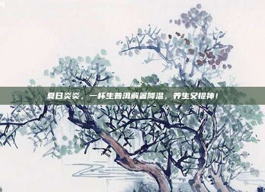 夏日炎炎，一杯生普洱解暑降温，养生又提神！