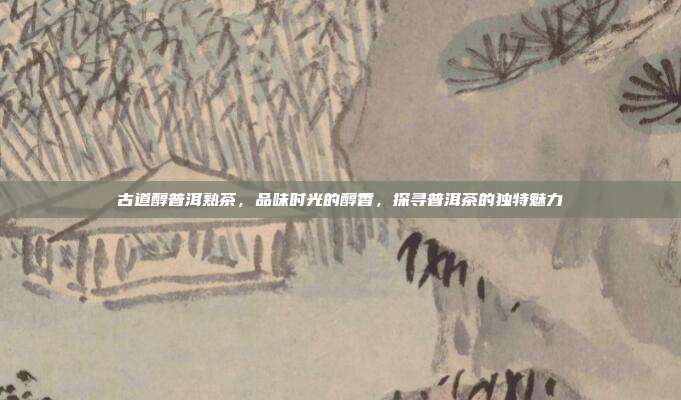 古道醇普洱熟茶，品味时光的醇香，探寻普洱茶的独特魅力