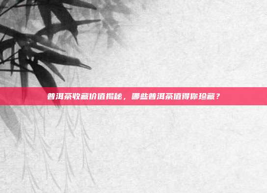 普洱茶收藏价值揭秘，哪些普洱茶值得你珍藏？