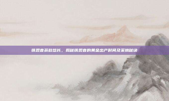 铁观音茶韵悠长，揭秘铁观音的黄金出产时间及采摘秘诀