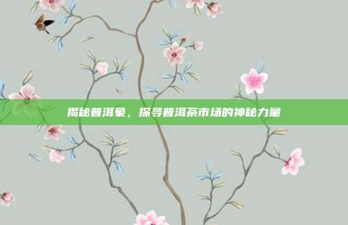 揭秘普洱象，探寻普洱茶市场的神秘力量