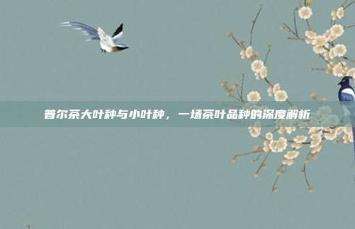 普尔茶大叶种与小叶种，一场茶叶品种的深度解析