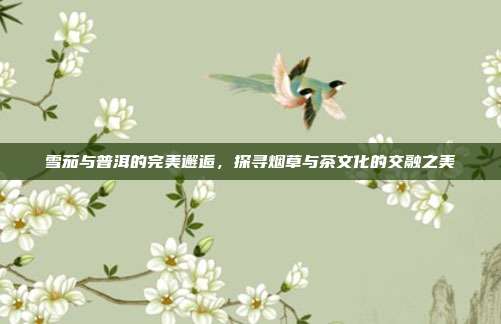雪茄与普洱的完美邂逅，探寻烟草与茶文化的交融之美