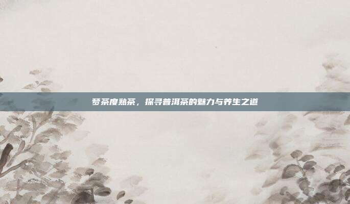 梦茶度熟茶，探寻普洱茶的魅力与养生之道