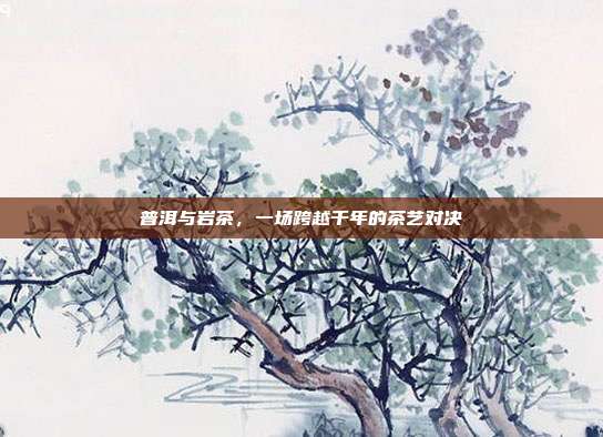 普洱与岩茶，一场跨越千年的茶艺对决