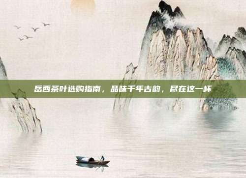 岳西茶叶选购指南，品味千年古韵，尽在这一杯