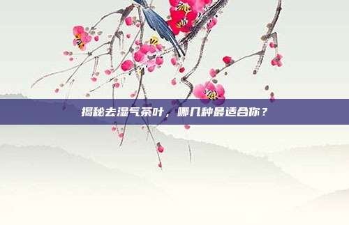 揭秘去湿气茶叶，哪几种最适合你？