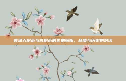 普洱大树茶与古树茶的区别解析，品质与历史的对话