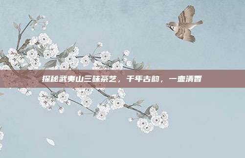 探秘武夷山三味茶艺，千年古韵，一壶清香