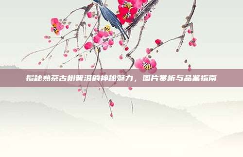 揭秘熟茶古树普洱的神秘魅力，图片赏析与品鉴指南