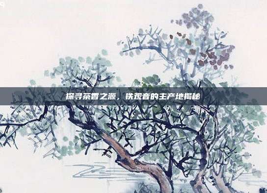 探寻茶香之源，铁观音的主产地揭秘