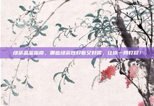 绿茶品鉴指南，哪些绿茶既好看又好喝，让你一网打尽！