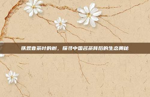 铁观音茶叶的树，探寻中国名茶背后的生态奥秘