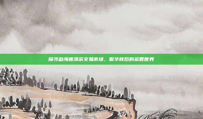 探寻勐海普洱茶交易市场，繁华背后的茶香世界