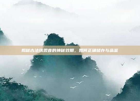揭秘古法铁观音的神秘效期，如何正确储存与品鉴