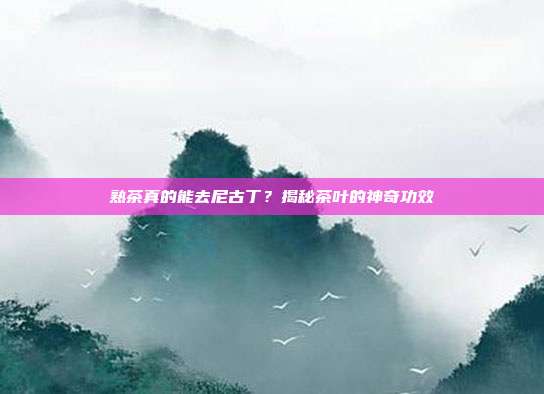 熟茶真的能去尼古丁？揭秘茶叶的神奇功效