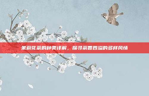茉莉花茶的种类详解，探寻茶香四溢的多样风情