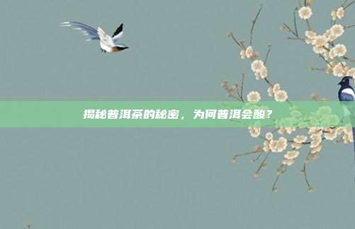 揭秘普洱茶的秘密，为何普洱会酸？