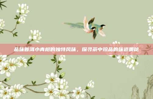 品味普洱小青柑的独特风味，探寻茶中珍品的味道奥秘