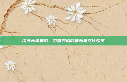 探寻大美普洱，茶香四溢的自然与文化瑰宝