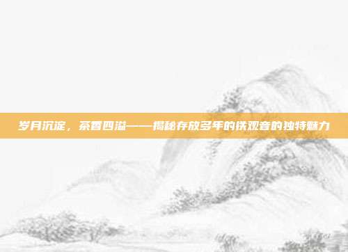 岁月沉淀，茶香四溢——揭秘存放多年的铁观音的独特魅力