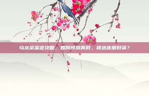 乌龙茶鉴定攻略，如何辨别真假，挑选优质好茶？