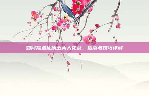 如何挑选优质玉美人花茶，指南与技巧详解