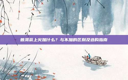 普洱茶上火加什么？与不加的区别及选购指南