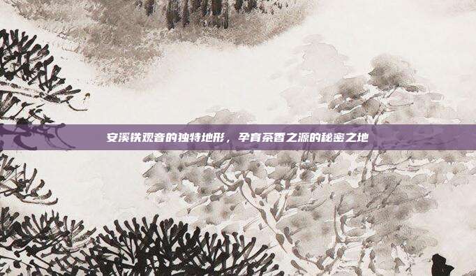 安溪铁观音的独特地形，孕育茶香之源的秘密之地