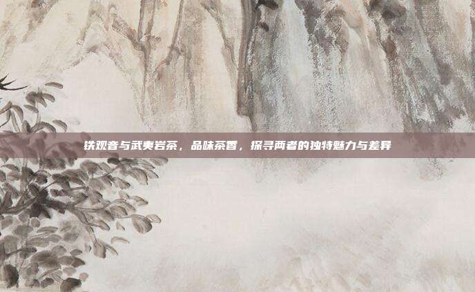 铁观音与武夷岩茶，品味茶香，探寻两者的独特魅力与差异