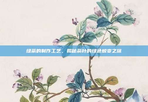 绿茶的制作工艺，揭秘茶叶的绿色蜕变之旅