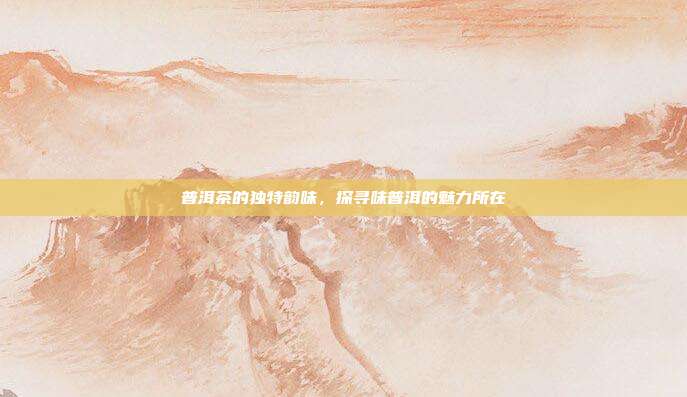 普洱茶的独特韵味，探寻味普洱的魅力所在