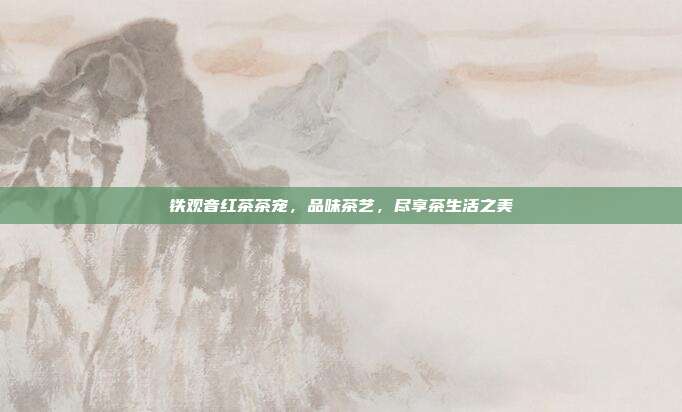 铁观音红茶茶宠，品味茶艺，尽享茶生活之美