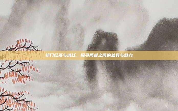 祁门红茶与滇红，探寻两者之间的差异与魅力