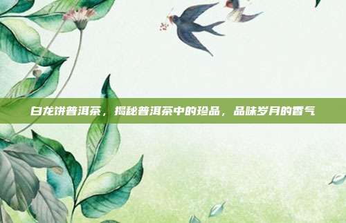 白龙饼普洱茶，揭秘普洱茶中的珍品，品味岁月的香气