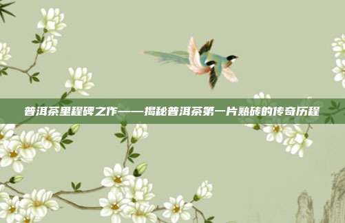 普洱茶里程碑之作——揭秘普洱茶第一片熟砖的传奇历程