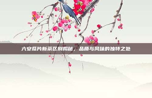 六安瓜片新茶区别揭秘，品质与风味的独特之处