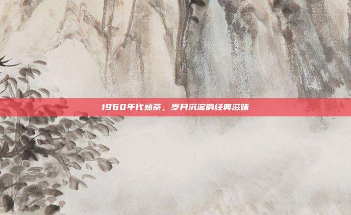 1960年代熟茶，岁月沉淀的经典滋味