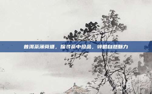 普洱茶薄荷塘，探寻茶中珍品，领略自然魅力