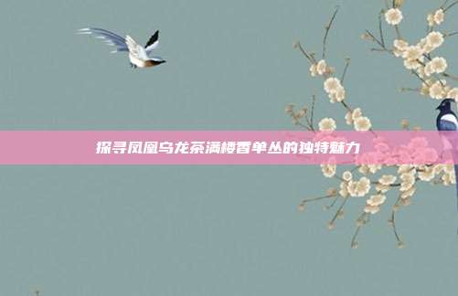 探寻凤凰乌龙茶满楼香单丛的独特魅力