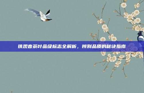 铁观音茶叶品级标志全解析，辨别品质的秘诀指南