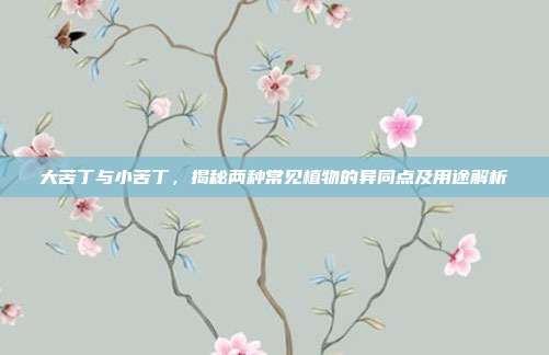 大苦丁与小苦丁，揭秘两种常见植物的异同点及用途解析