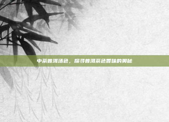 中茶普洱汤色，探寻普洱茶色香味的奥秘